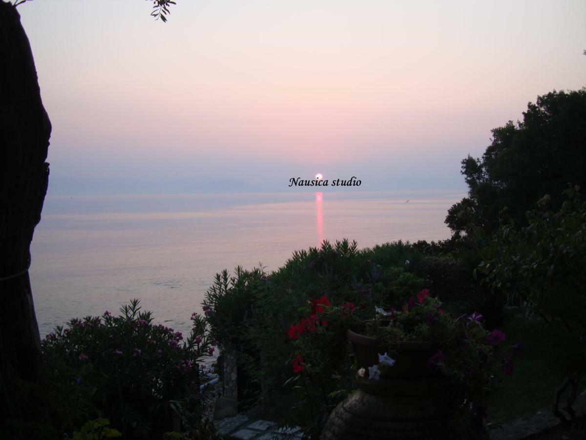 Studio Nausica... A Sense Of Paradise! Agia Pelagia Chlomou Exterior foto