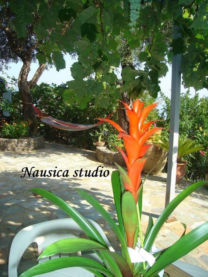 Studio Nausica... A Sense Of Paradise! Agia Pelagia Chlomou Exterior foto